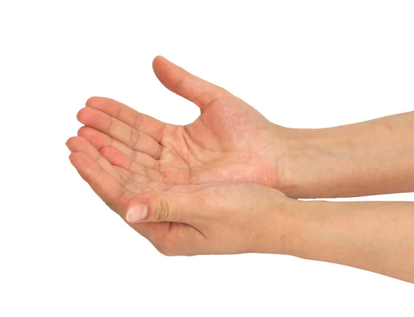 Duas palmas da mão sobre fundo branco — Fotografia de Stock