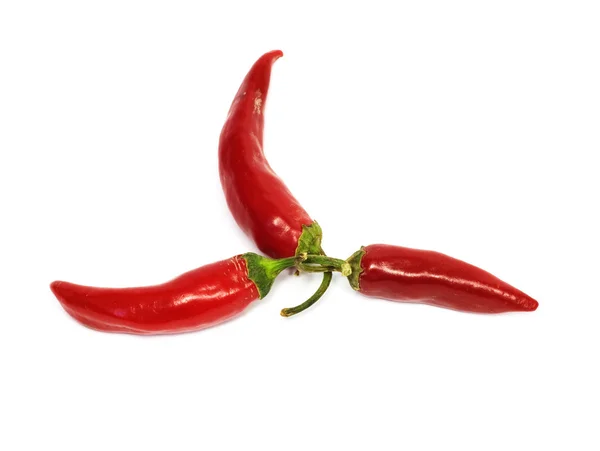 Three hot chili peppers — Stock Photo, Image