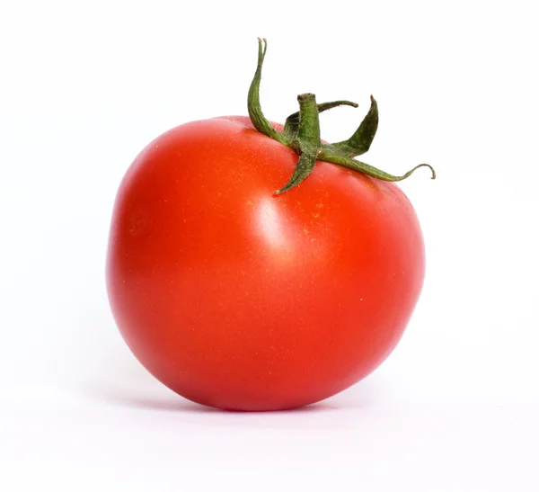 One tomato Royalty Free Stock Images