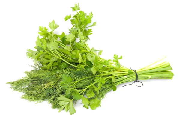 Dill and parsley isolated on a white background Stock Image