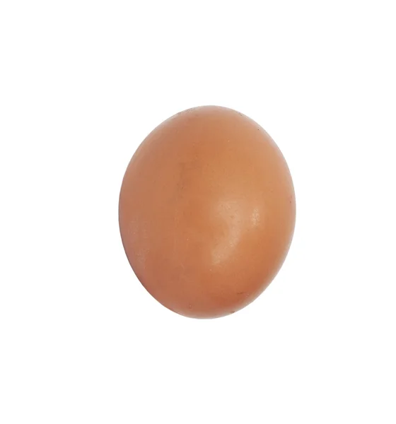 Um ovo no fundo branco — Fotografia de Stock