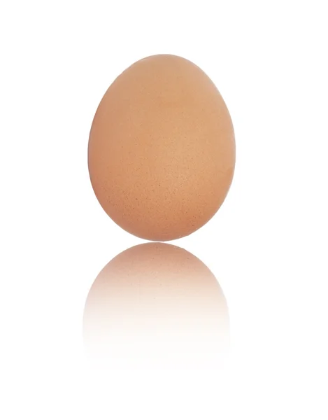One egg on white background — Stock Photo, Image