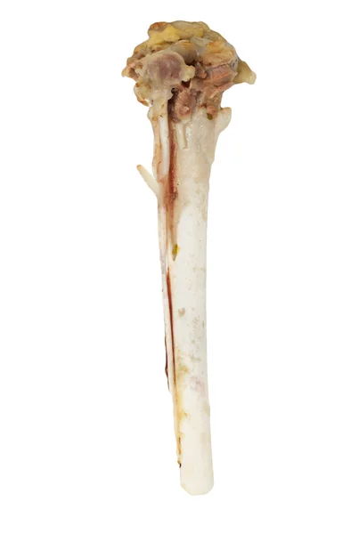 Bones of the hen — Stock Photo, Image