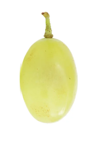 Transluzente Scheibe grüner Traubenfrüchte, Makro-Isolation auf Weiß — Stockfoto