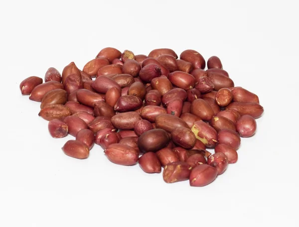 Peanut isolated on a white background — Stock Photo, Image