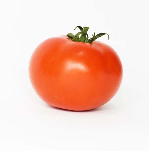 Un tomate —  Fotos de Stock