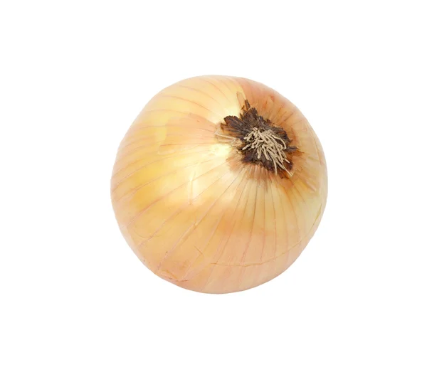Ripe onion on a white background — Stock Photo, Image