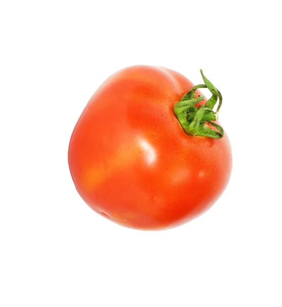 Μια ντομάτα — Φωτογραφία Αρχείου