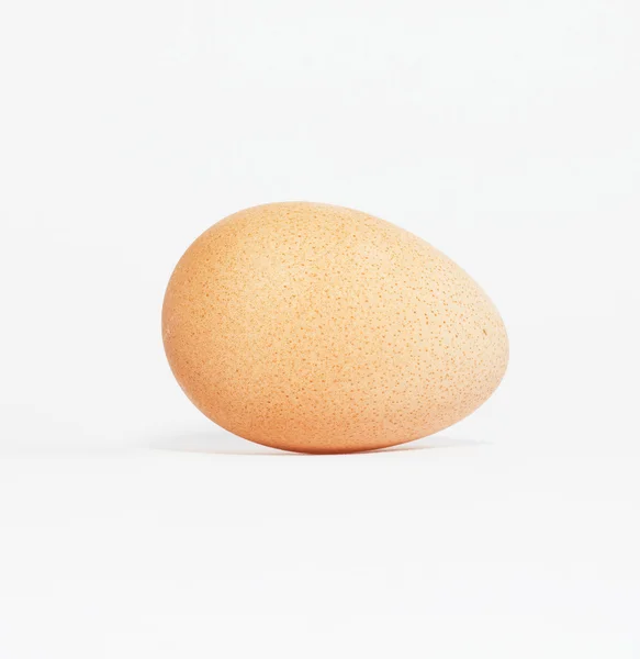 Uovo di una faraona — Foto Stock