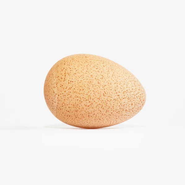 Egg 珍珠鸡 — 图库照片