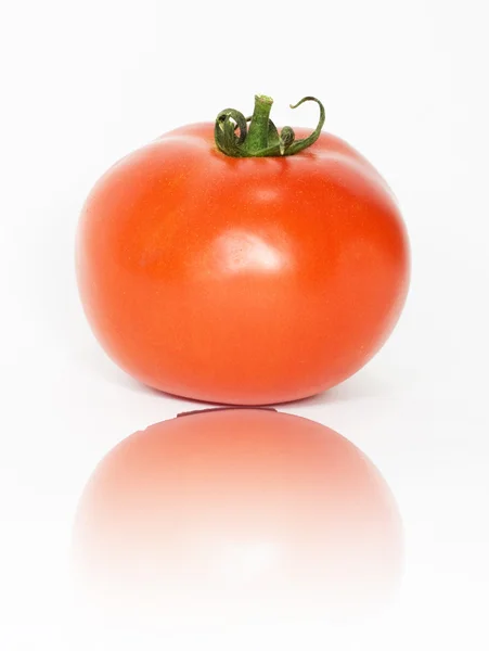 Один помідор — стокове фото