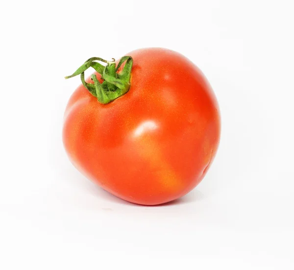 Une tomate — Photo