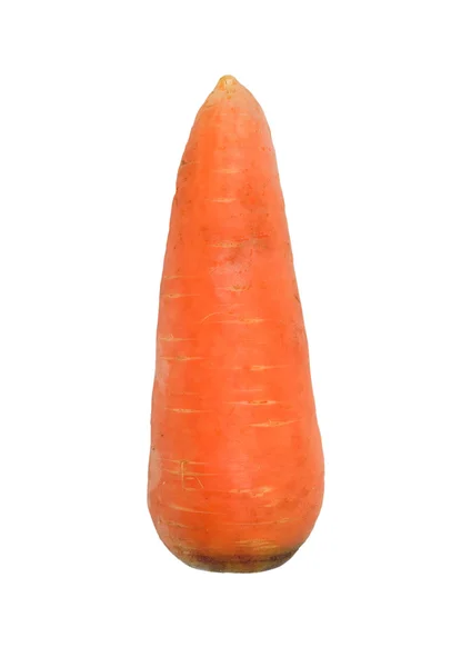 Rijp wortelen geïsoleerd op een witte achtergrond — Stockfoto