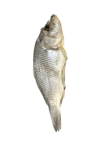Torkad fisk fördelas på en vit bakgrund — Stockfoto