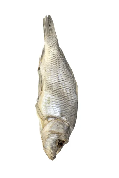 Pesce essiccato assegnato su fondo bianco — Foto Stock