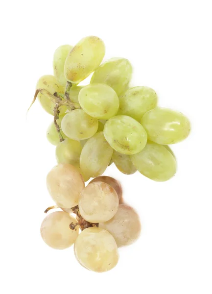 Свежий виноград. Изолированные на белом — стоковое фото