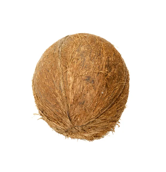 Orzech kokosowy izolowany na białym tle — Zdjęcie stockowe