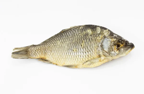 Сушена риба ізольована на білому тлі — стокове фото