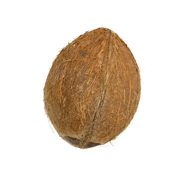 Kokosové izolované na bílém pozadí — Stock fotografie