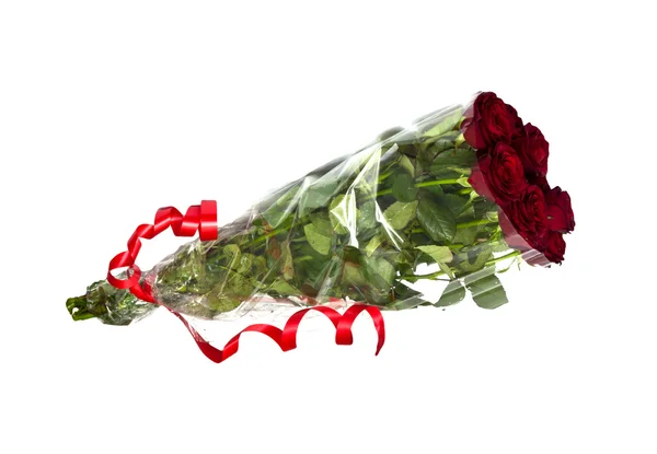 白い背景に美しい赤いバラ — ストック写真