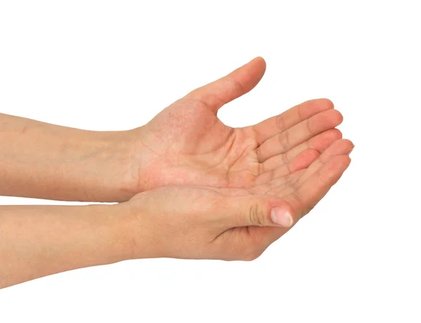 Duas palmas da mão sobre fundo branco — Fotografia de Stock
