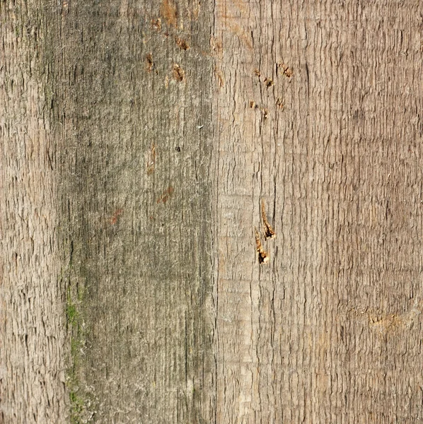 Dřevěná konstrukce - lze použít jako pozadí — Stock fotografie