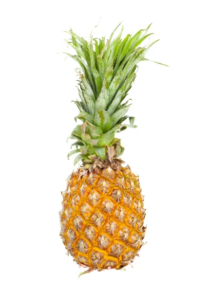 Rijpe ananas geïsoleerd op wit — Stockfoto