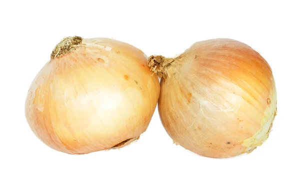 Pair of onions — Stock Photo, Image