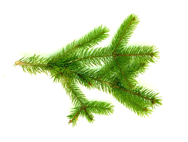 Boże Narodzenie zielone ramy izolowane na białym tle — Zdjęcie stockowe