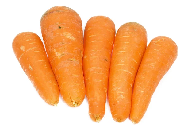 Rijp verse wortelen op een witte achtergrond. — Stockfoto