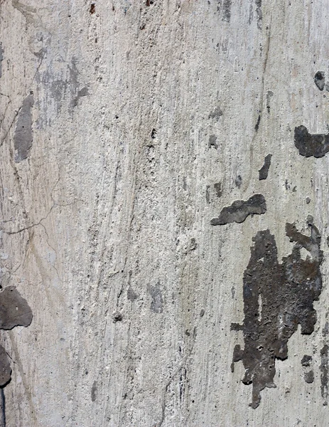 모든 배경 패널 시멘트 콘크리트 벽 — 스톡 사진