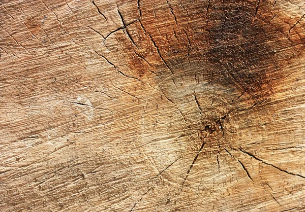 Wooden texture. It is possible to use as a background. — Stock Photo, Image