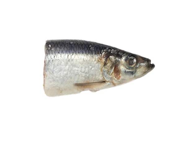 Head salty herring on white background — Stock Photo, Image