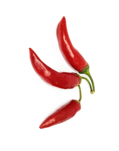 Drie hete chili peppers — Stockfoto