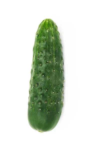 Zelená okurka, izolovaných na bílém pozadí — Stock fotografie