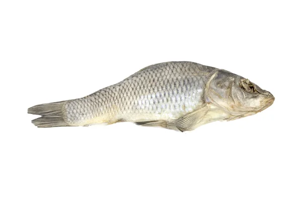 Gedroogde vis toegewezen op een witte achtergrond — Stockfoto