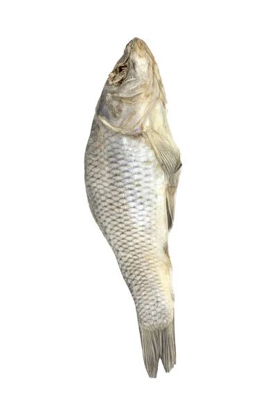 Suszone ryby przeznaczone na białym tle — Zdjęcie stockowe
