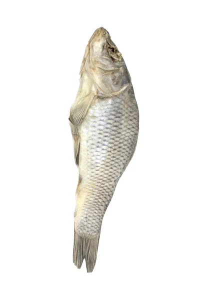 Αποξηραμένα ψάρια που διατίθενται σε λευκό φόντο — Φωτογραφία Αρχείου