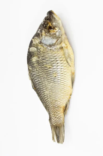 Сушеная рыба на белом фоне — стоковое фото