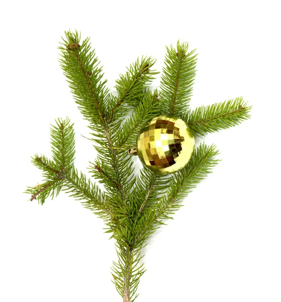 Bola de árvore de Natal pendurada em um galho de árvore de Natal, isolado — Fotografia de Stock