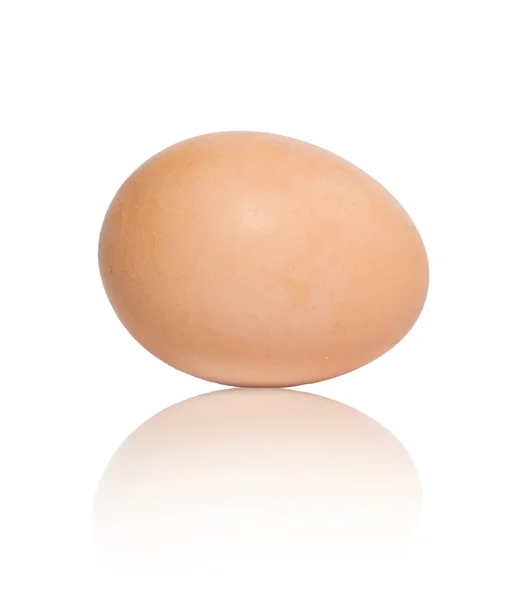 Ett ägg på vit bakgrund — Stockfoto
