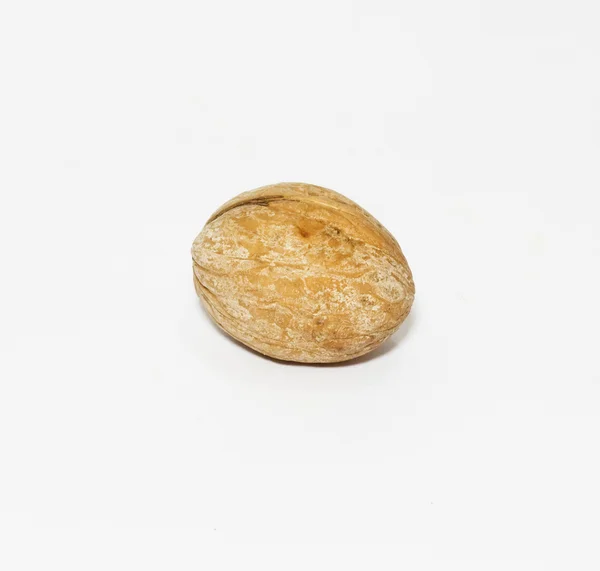 One whole Walnut on white background — Stock Photo, Image