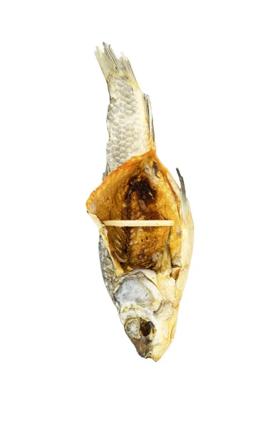 Αποξηραμένα ψάρια που απομονώνονται σε λευκό φόντο — Φωτογραφία Αρχείου