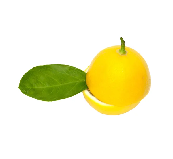 Лимонний на білий — стокове фото