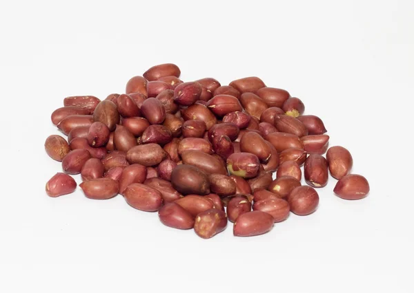Peanut isolated on a white background — Stock Photo, Image