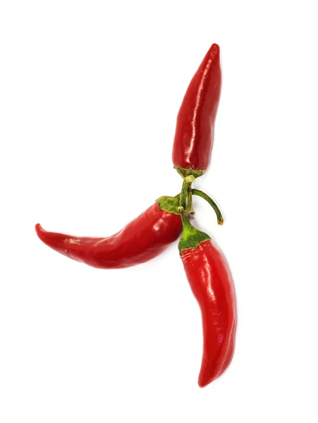 Três pimentas quentes — Fotografia de Stock