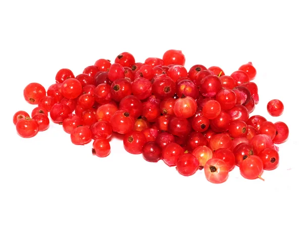 Rote Johannisbeere auf weißem Hintergrund — Stockfoto
