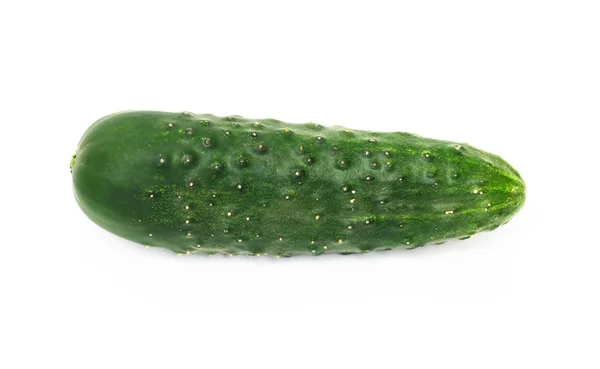 Groene komkommer, geïsoleerd op witte achtergrond — Stockfoto