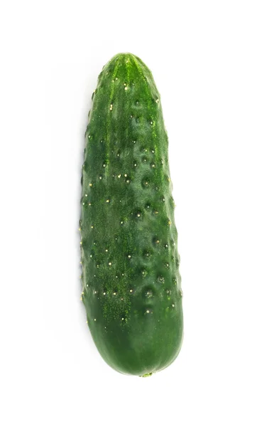Pepino verde, isolado sobre fundo branco — Fotografia de Stock
