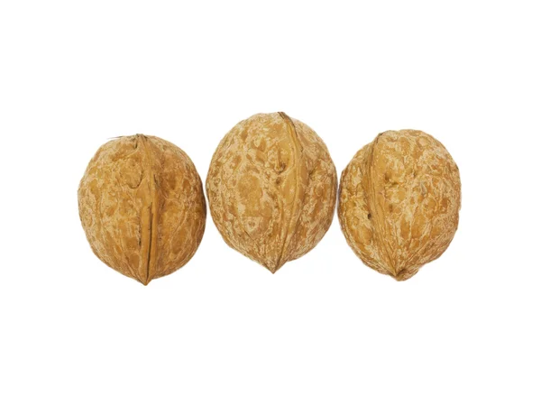Tři Kavkazská ořechy izolovaných na bílém — Stock fotografie